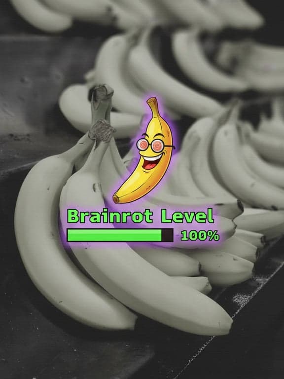 A screenshot from a fictional video game HUD showing a sanity meter labeled \"Brainrot Level\" at 100%, overlayed on a image of a smiling cartoon banana.
