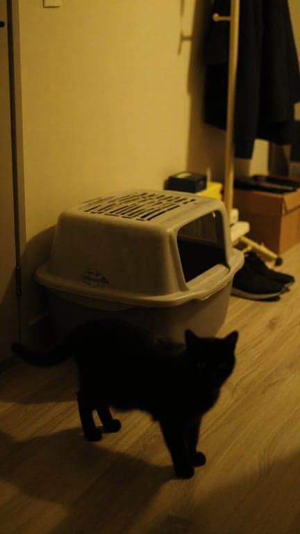 Redesign this into a crisp, mo...