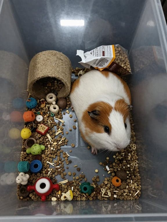 Rebuild this as a clean, eye-c...