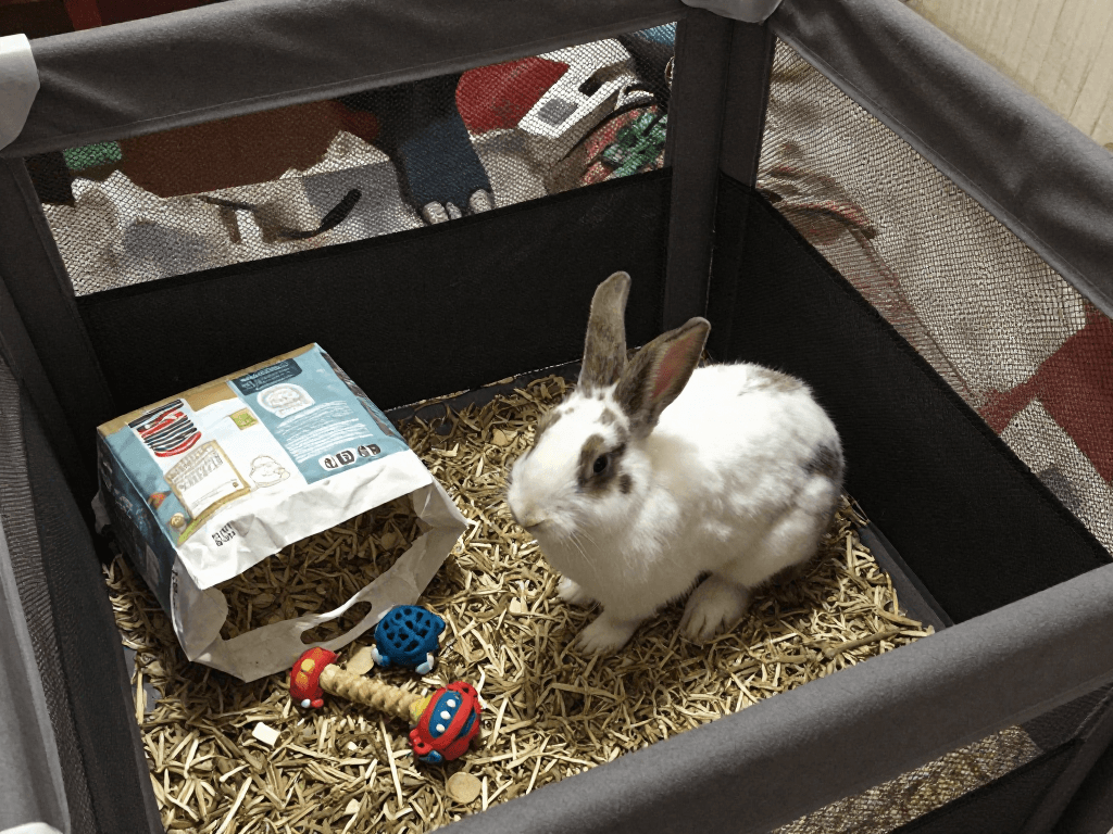 Rebuild this as a professional...