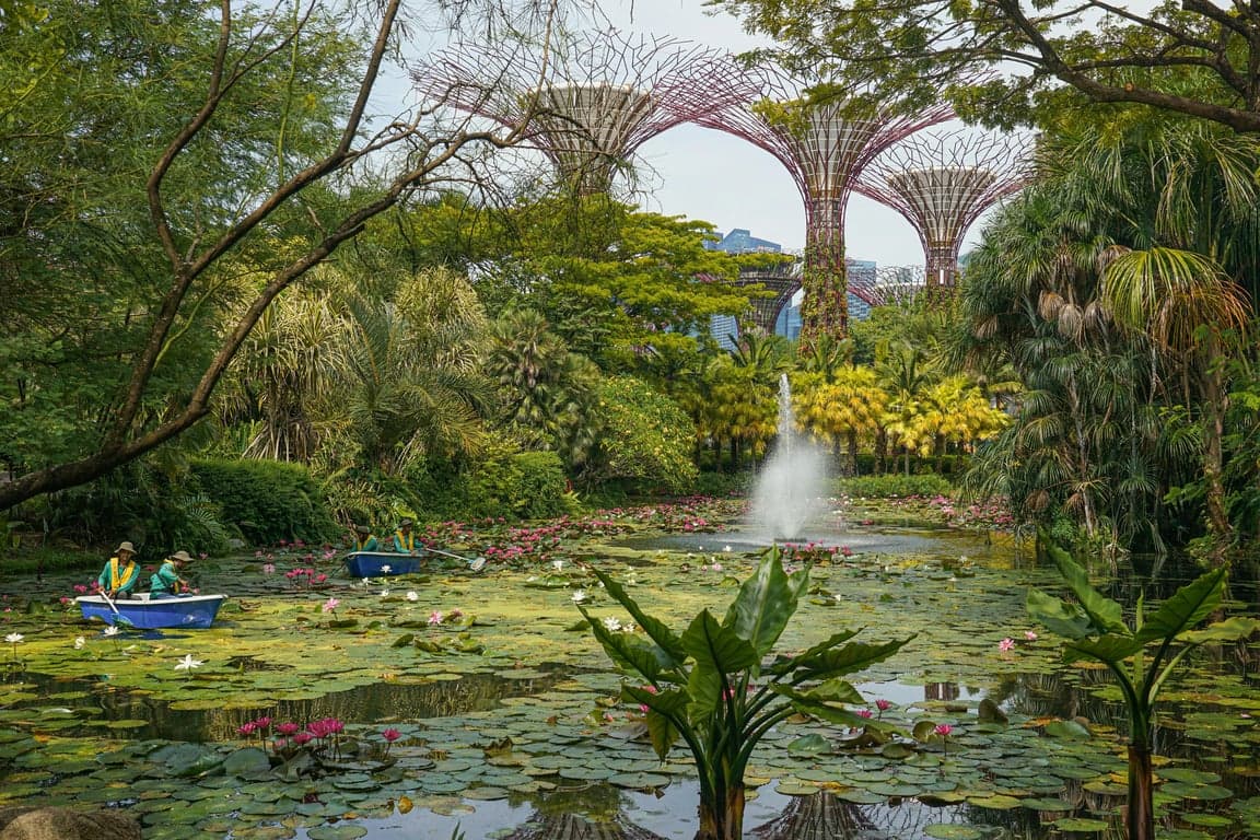 การปรับปรุงภาพวันหยุด