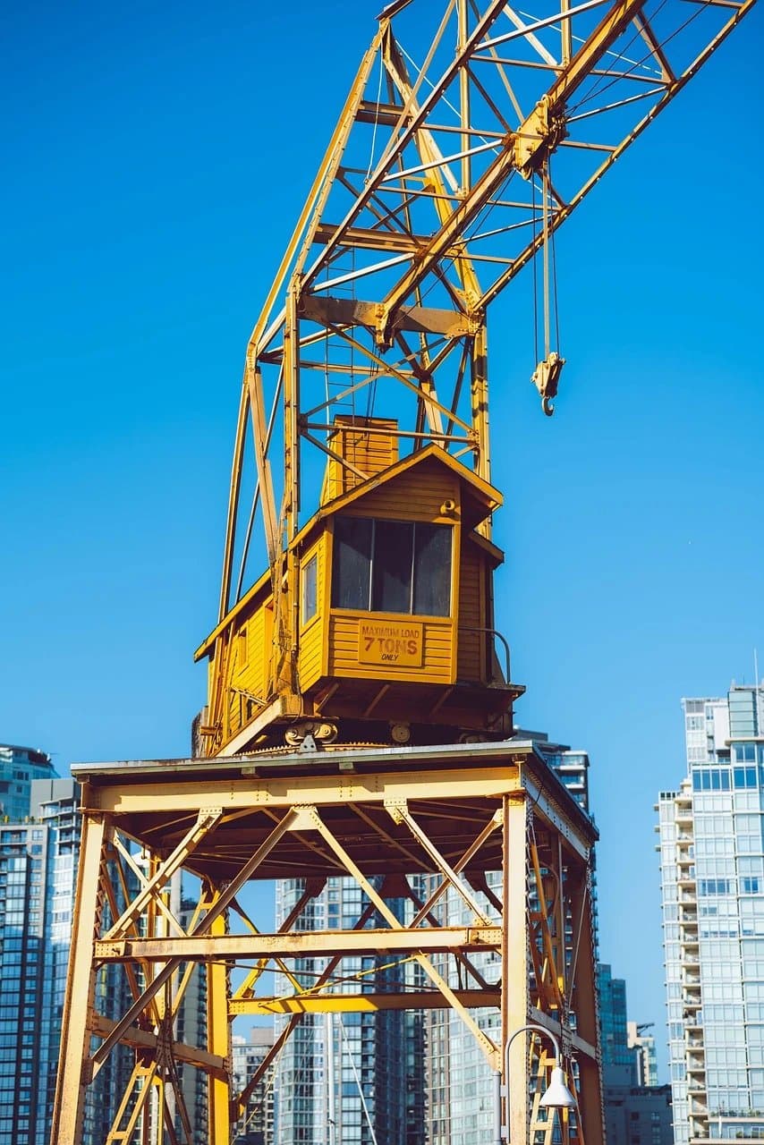 A standard outdoor photo with high contrast and natural lighting.