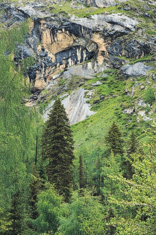 A photo of a forest reinterpreted in the pointillist style of Seurat, composed entirely of countless small, distinct dots of color that blend in the viewer's eye.