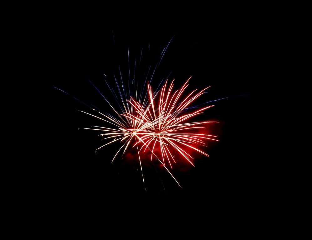 音楽祭プロモーション