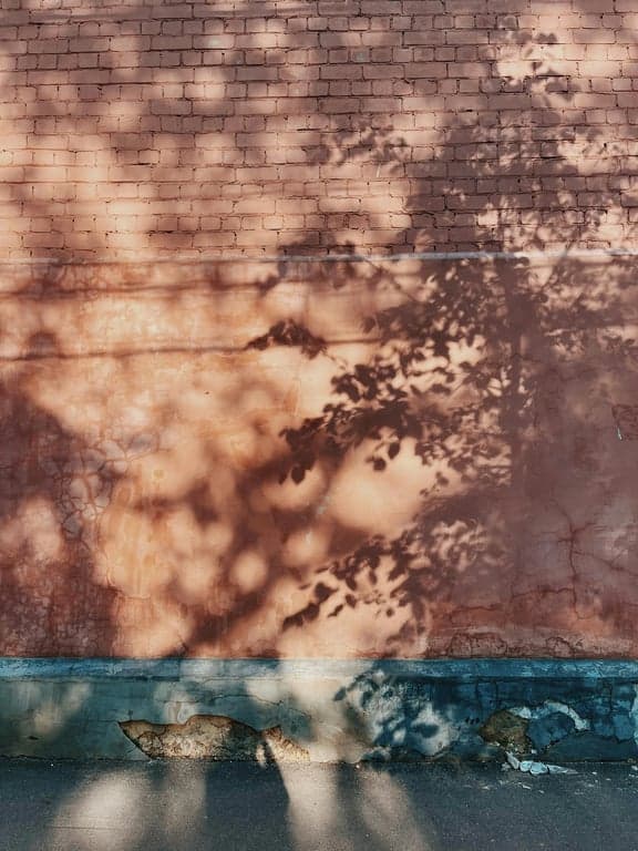 Create graffiti that treats the wall as an active stage for expression. Let the composition respond to the wall’s proportions and boundaries, using scale, placement, and flow to turn the surface into part of the artwork rather than a neutral background.