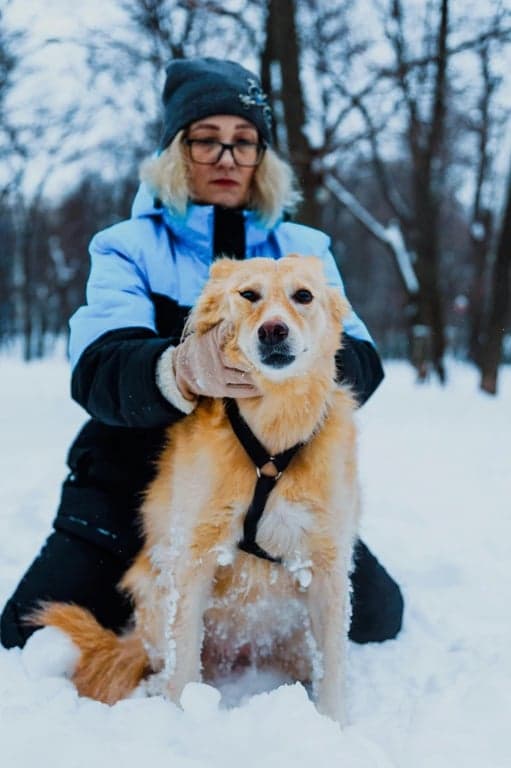 generate a dating app–optimized photo by adjusting the subject’s posture to appear upright, refining facial lighting for even coverage, removing harsh under-eye and jaw shadows, enhancing eye focus and sharpness, simplifying the background, maintaining identity and natural skin texture, and producing a believable image that performs better as a primary profile picture