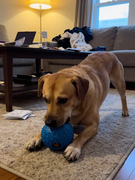 Transform this into a clean, h...