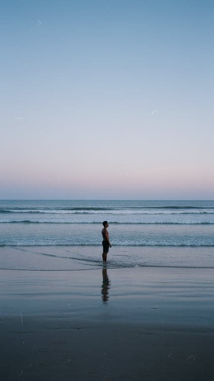 Transform this entire scene in...