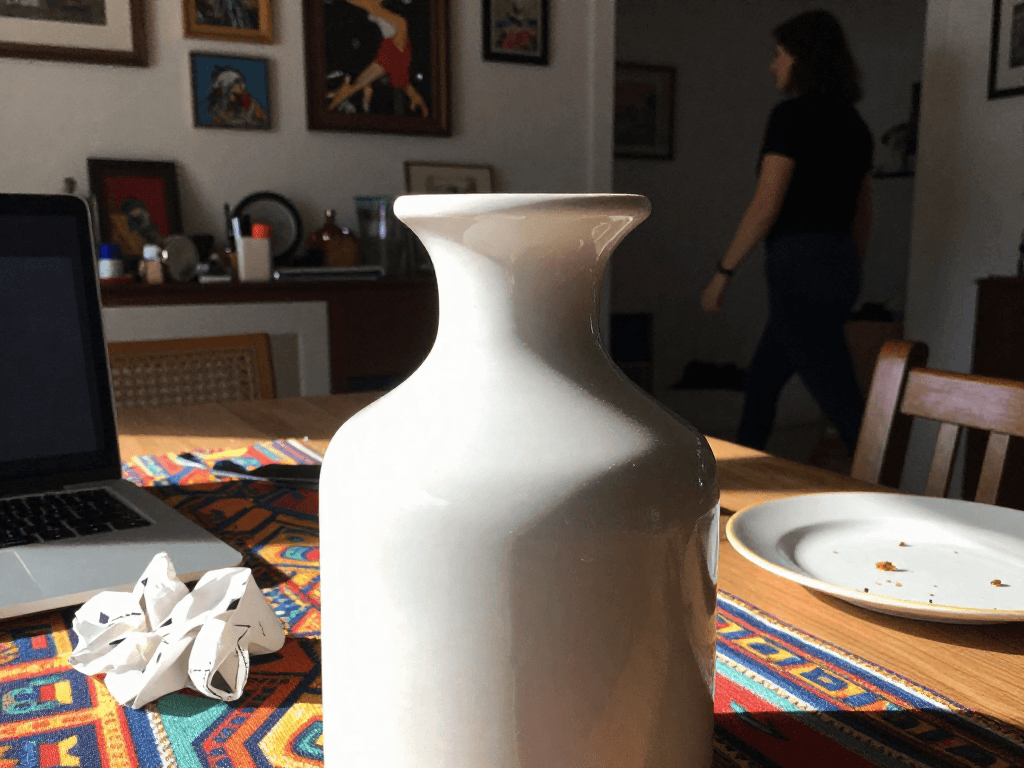 Reframe and refine this scene ...