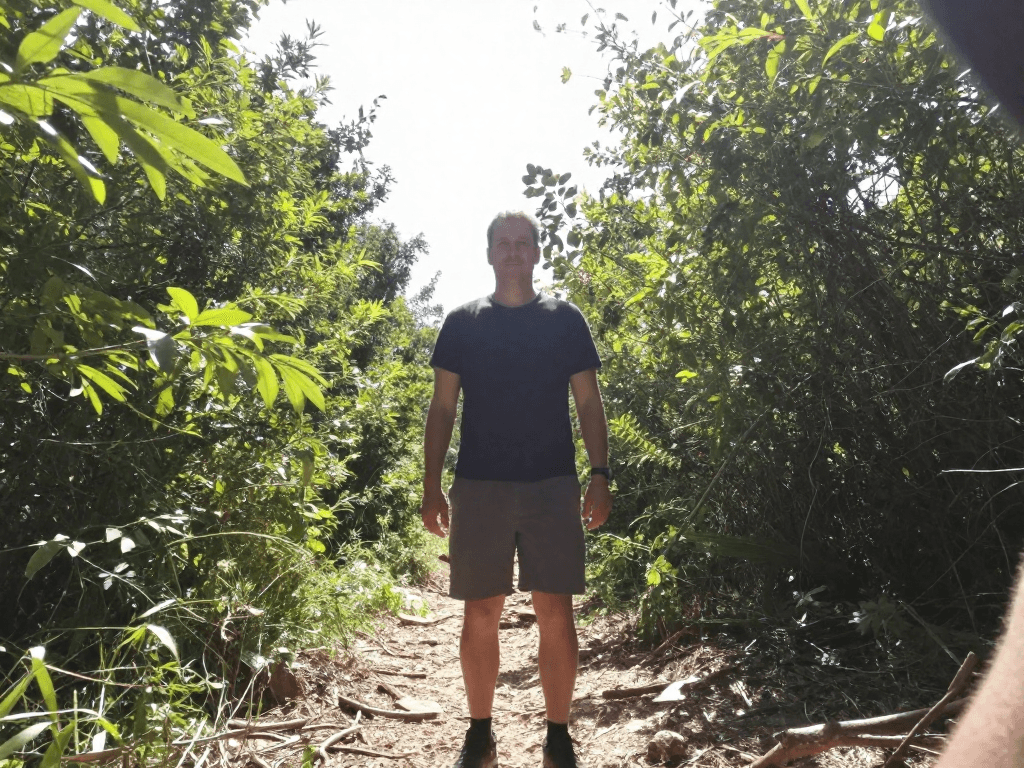 Transform the entire image int...