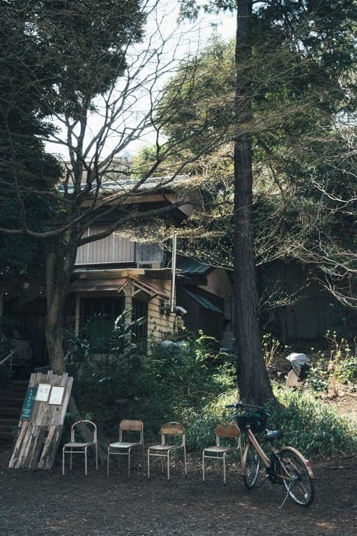 Create a D&D battle map focused on tactical combat, featuring obstacles, cover zones, chokepoints, and terrain effects that influence movement and line of sight