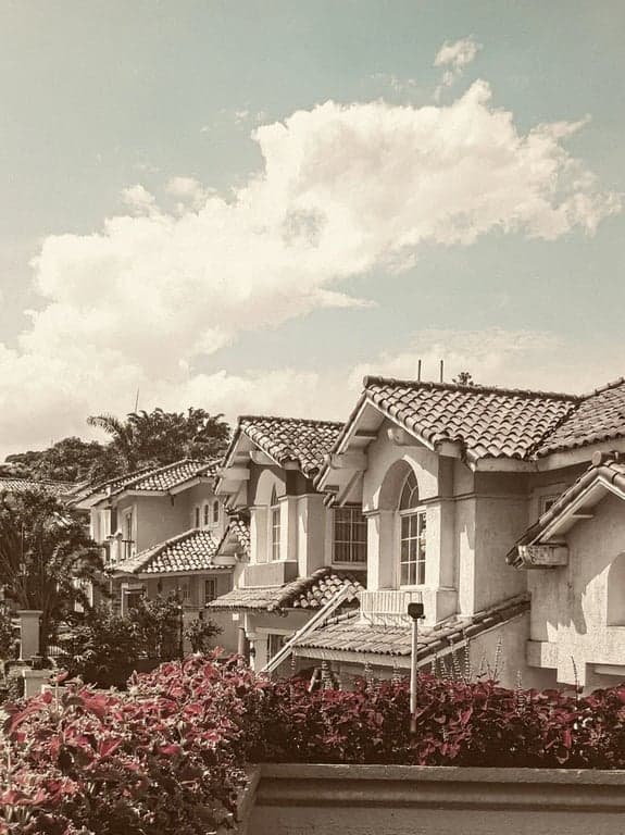 AI vintage filter after photo - vintage style of townhouse with flowers