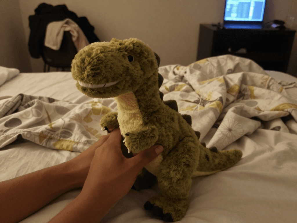 Ignore the messy bedroom envir...